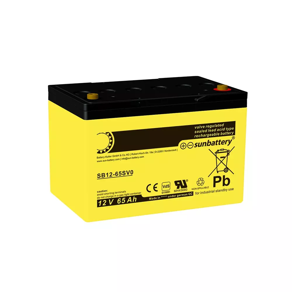 OGIV AGM (Vlies) Batterie 12V | 65Ah passend für 67000.0.292 OGIV AGM (Vlies) Batterie 12V | 65Ah passend für 67000.0.292