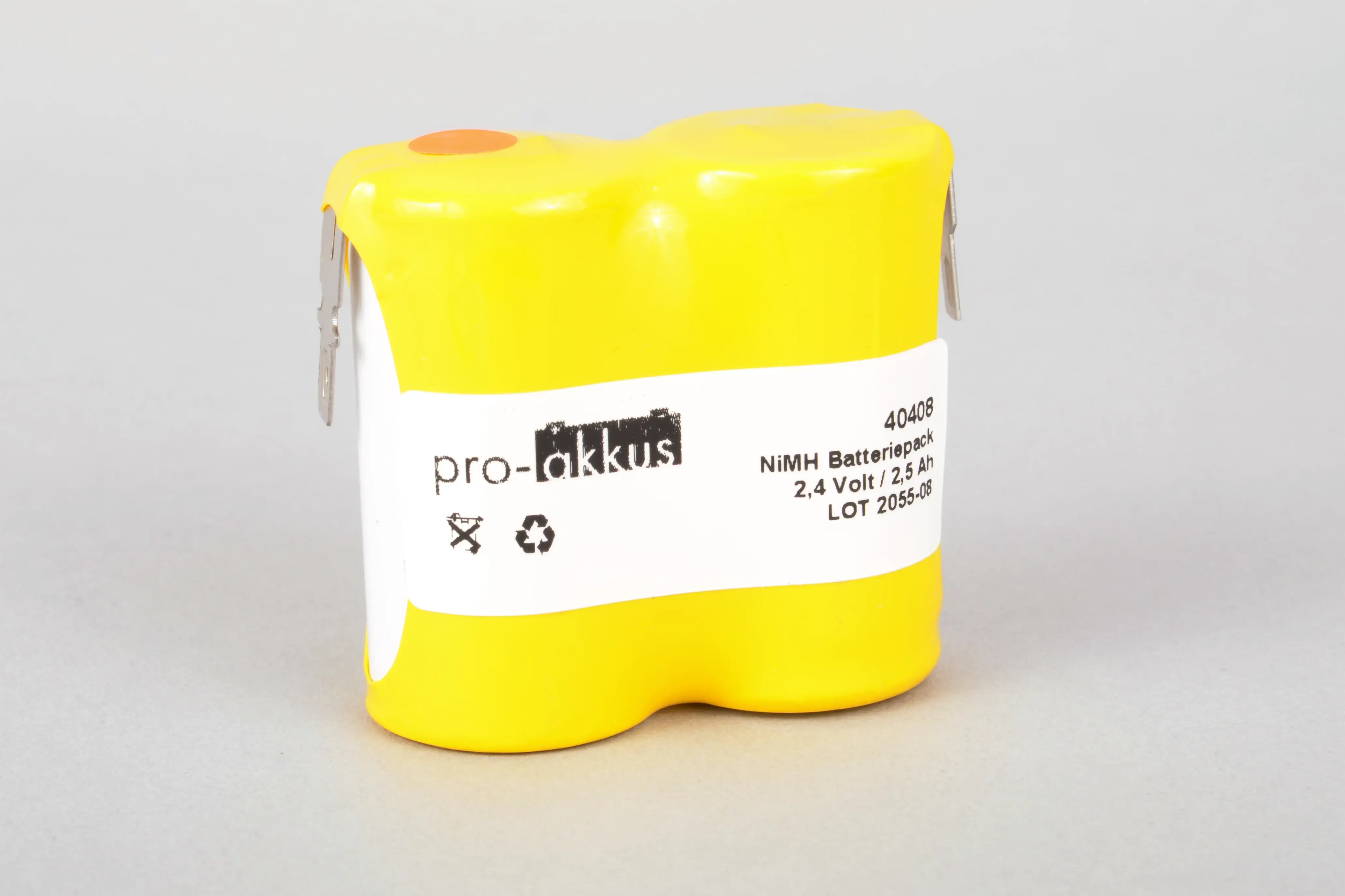 NiMH Notbeleuchtung Akku 2,4V / 2500mAh (2,5Ah), Reihe, Faston +4,8/-2,8mm online bei pro-akkus kaufen