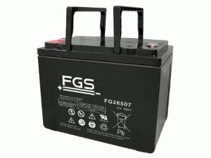FGS FG26507 12V 65Ah Blei-Akku / AGM Batterie