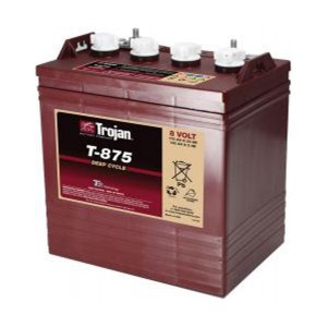 Trojan T-875 EHPT 8V 170Ah Deep Cycle Nassbatterie