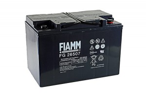 Fiamm FG26507 12V 65Ah Blei-Akku / AGM Batterie