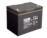 Fiamm FG28009 12V 80Ah Blei-Akku / AGM Batterie