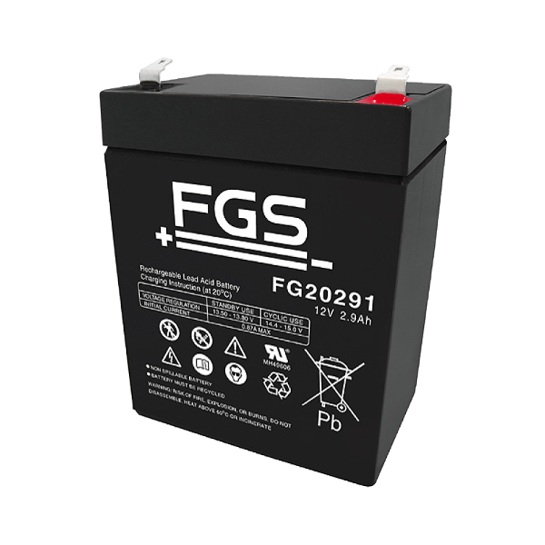 FGS FG20291 12V 2,9Ah Blei-Akku / AGM Batterie